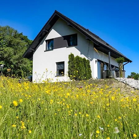 Veron 別荘 Wysowa-Zdrój