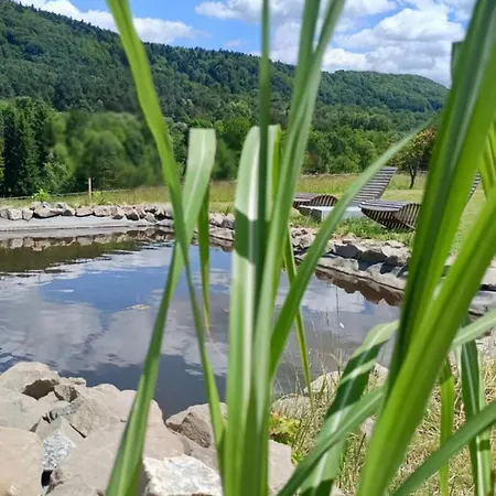 Veron Holiday home Wysowa-Zdroj